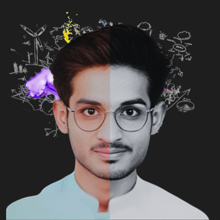 Professional Web Developer in Pakistan